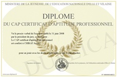 Exemple de certificat d'aptitude professionnelle français